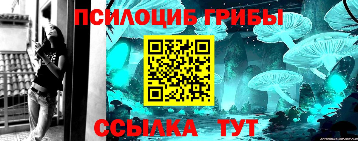 Галлюциногенные грибы Cubensis Октябрьский